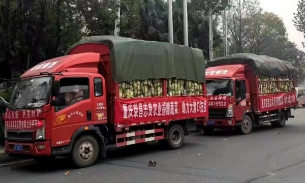 重庆爱心企业捐赠60余吨蔬菜支援战“疫”。曹卫平摄