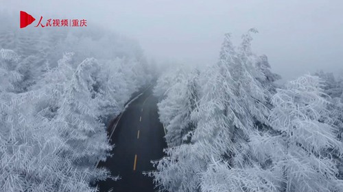 重庆：仙女山迎来今冬首场降雪
