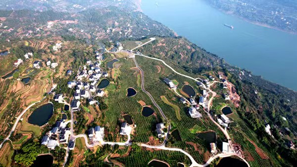俯瞰巴阳村。云阳县委宣传部供图