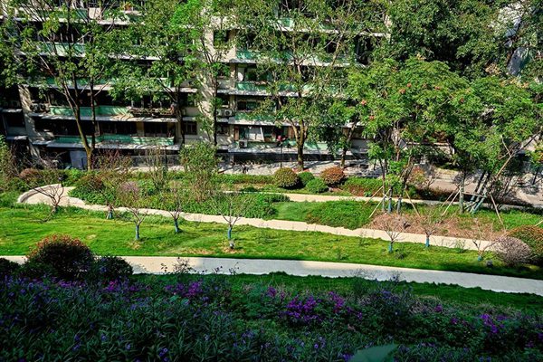 小区新边坡景观。重庆市设计院供图