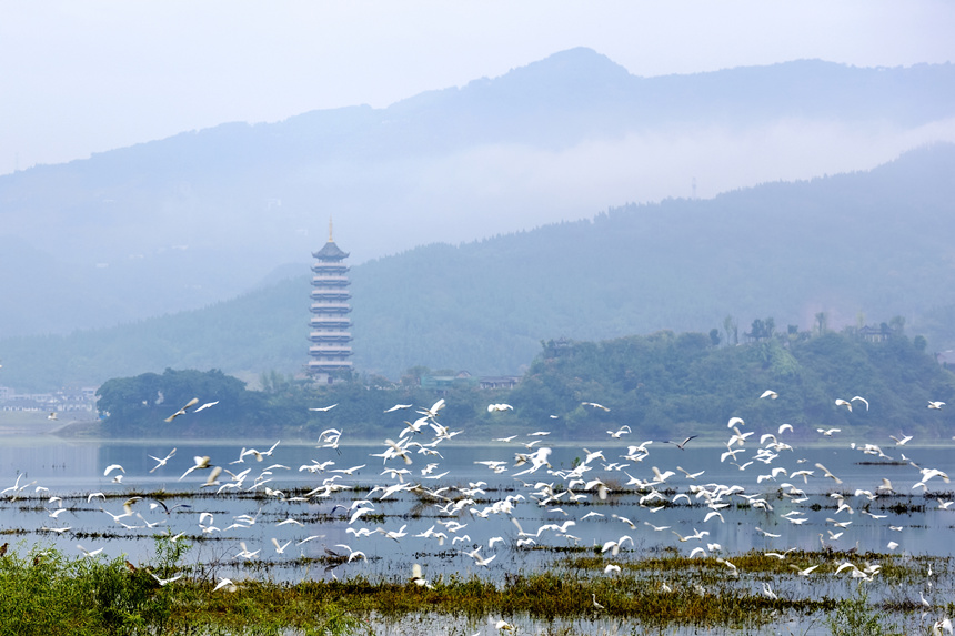 重慶開州漢豐湖國家濕地公園。