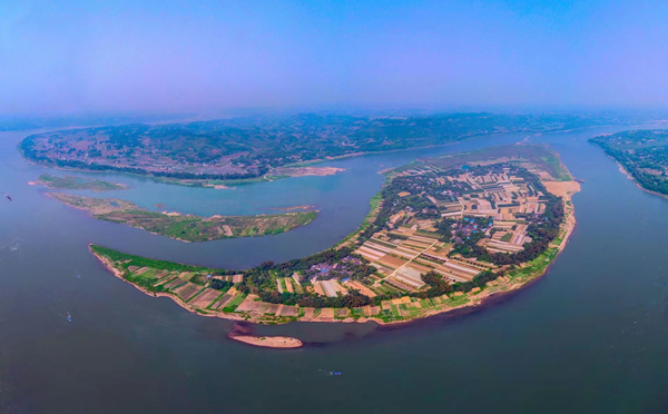 位于重庆江津的长江入渝第一岛——中坝岛持续开展生态系统修复，保护长江水环境。江津区委宣传部供图