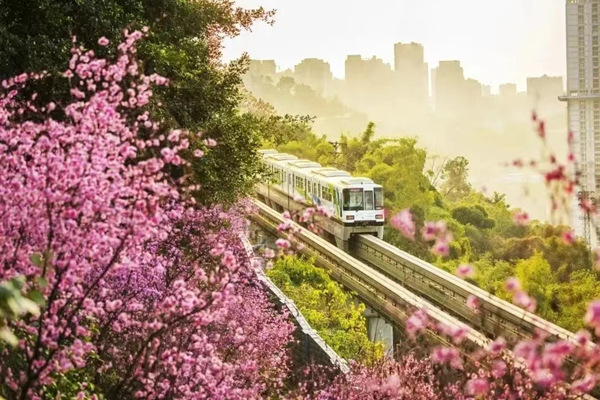 开往春天的列车。渝中区文化旅游委供图
