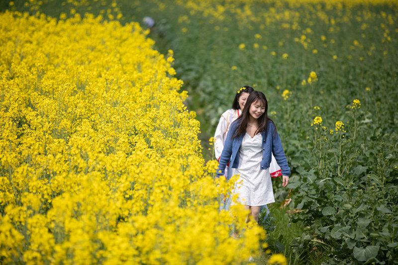 在重庆市秀山县龙凤花海景区，市民游客们正在油菜花田里拍照游玩。胡程摄 (1)