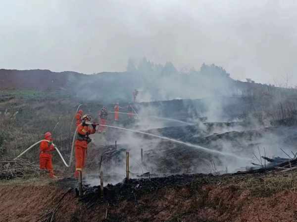 森林消防队开展地面灭火作业。李涛摄
