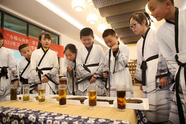 学生在辨认茶的种类。杨敏摄