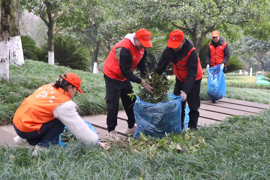 重庆客运段青年志愿者在从龙头寺公园清理杂草、枯枝落叶。龙嘉丽摄