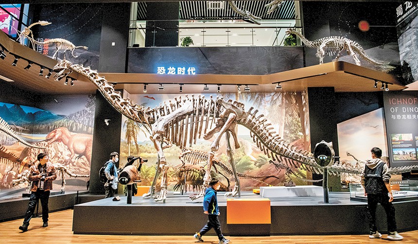 重慶自然資源科普館生命演化展廳，科普館以化石標本、復原裝架、場景噴繪等方式綜合展示恐龍時代。（本欄圖片由記者張錦輝攝/視覺重慶）