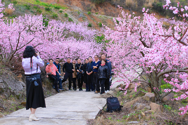 游客在桃花林间拍照。奉节县鹤峰乡供图