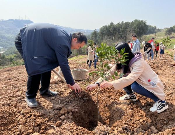 重慶交通開投集團進行植樹。重慶交通開投集團 供圖