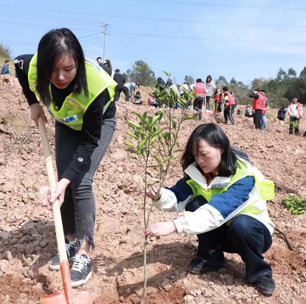 重庆高速青年员工参与植树。重庆高速集团供图