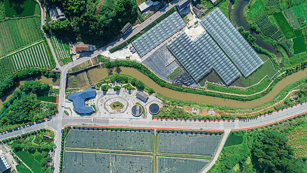 信贷支持的南川区大观农旅融合产业园建设项目。农发行重庆市分行供图