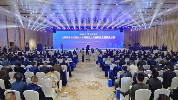 首届成渝地区双城经济圈民营经济高质量发展合作峰会在荣昌举行。张飞龙摄