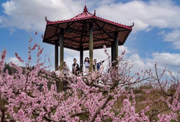 活动现场。主办方供图