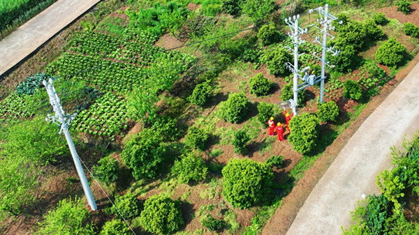 國網潼南供電公司員工正在巡檢現場。李旭攝
