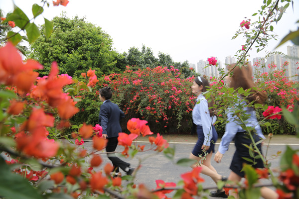 “口袋公園”花開正艷。美心集團供圖