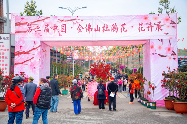 第三届中国金佛山杜鹃花花卉展开幕。主办方供图