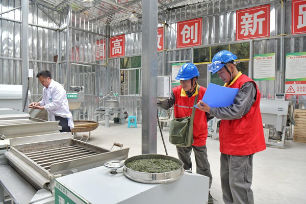 国网酉阳供电公司员工在西馨芽茶业专业合作社开展用电检查。国网重庆电力供图