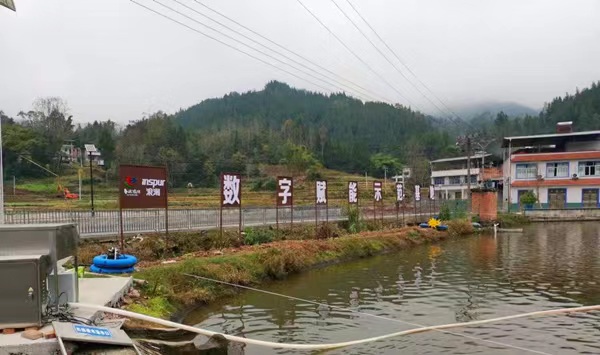 智能化的魚養殖基地。長灘鎮供圖