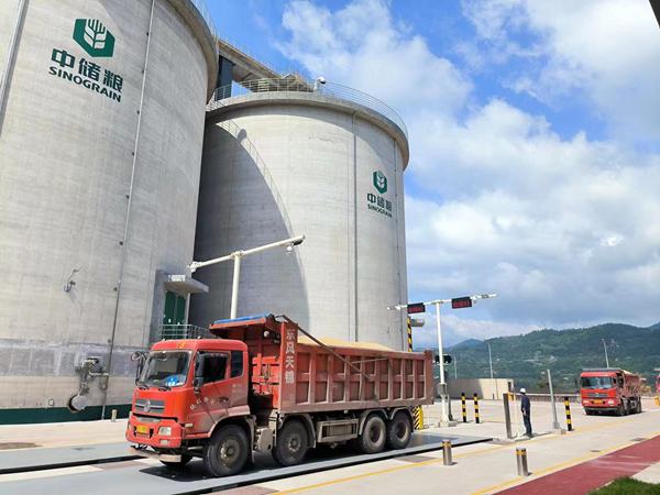 为高质量发展添动能万州粮食仓储项目建成投用