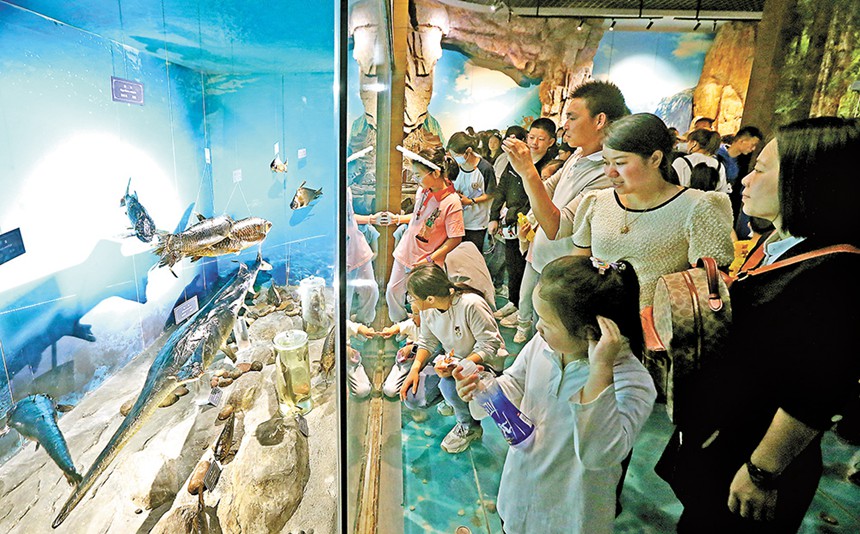 观展览　4月30日，游客们正饶有兴致地在重庆(中国)三峡博物馆参观游玩。特约摄影 钟志兵/视觉重庆