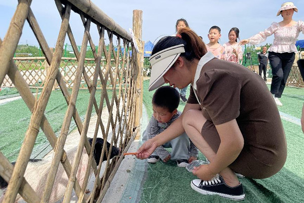 在陈抟故里景区与萌宠互动。潼南区委宣传部供图