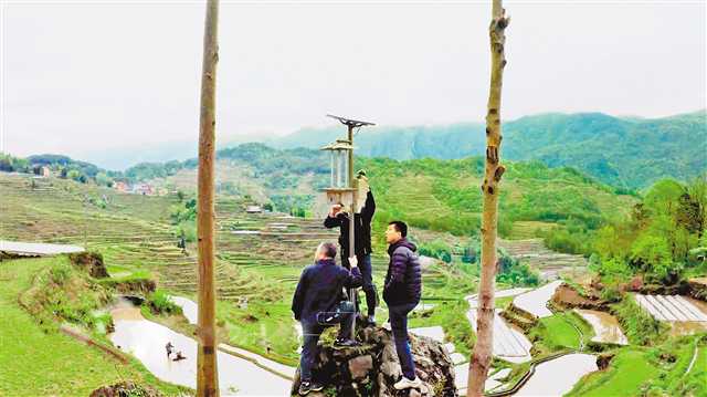 騰訊“雲稻米”團隊工作人員在何家岩村調試認養稻田旁的攝像頭。（受訪者供圖）