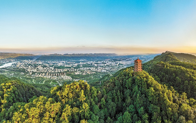 8月14日，满目翠绿的缙云山。首席记者 龙帆 摄/视觉重庆