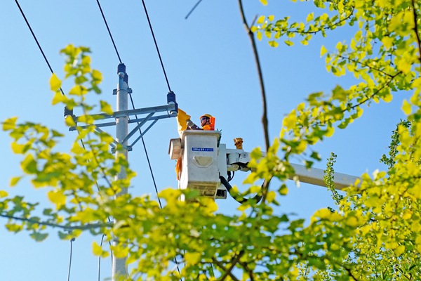 8月15日，在合川區工業園區，帶電作業人員冒著酷暑實施帶電作業。高愛妮攝