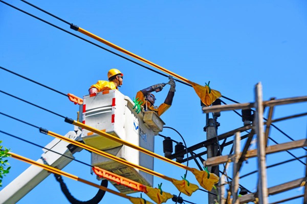 8月15日，在合川區振興路，帶電作業人員進行帶電搭火作業。高愛妮攝