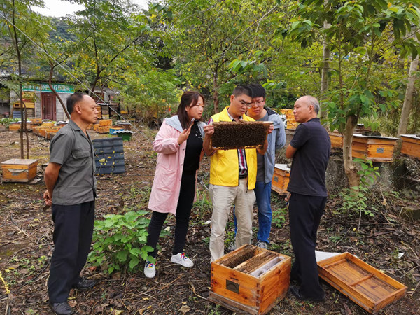 重庆市科技特派员在田间地头为农户指导蜜蜂养殖。重庆市科技局供图