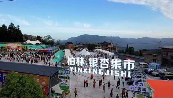 柏林银杏集市。柏林镇政府供图