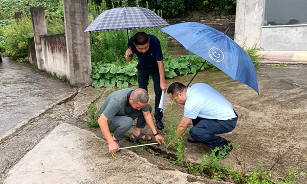 《暴雨过后巡查地面变形情况》。7月21日,涪陵区白涛街道办事处副主任郑杰（右）、区地质环境监测站地灾监测员罗祥洪（左）、白涛规划和自然资源所所长张小松（中）到白涛街道小田溪村瓦房座地灾隐患点巡查，查看地面变形情况。蔡冬摄