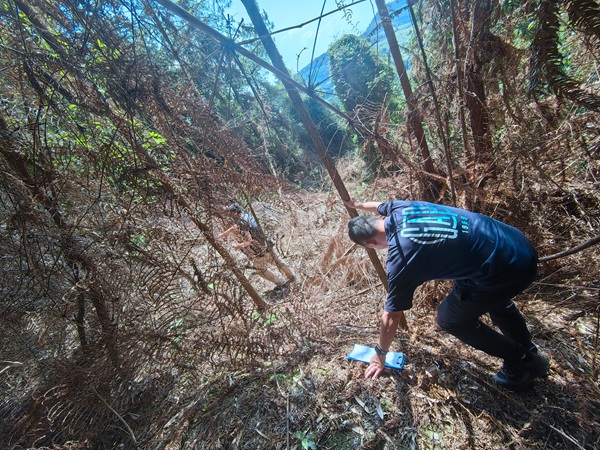 《爬山穿林》。6月26日，顶着烈烈炎日，川东南地质队驻守地质工程师朱放在梁平区七星镇老碗厂滑坡治理工程勘查项目进行现场踏勘。王鹏飞摄