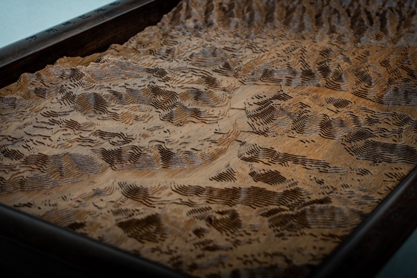 重慶“萬州城區木雕地形模型”。重慶市測繪科學技術研究院供圖