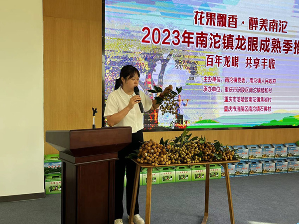 睦和村委会书记秦翠蓉推介南沱龙眼。蒋海涛摄