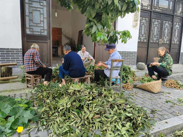 果农处理龙眼准备售卖。蒋海涛摄