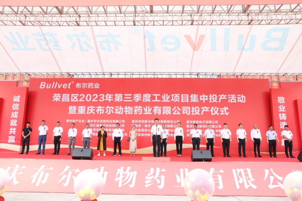集中投产活动。张飞龙摄