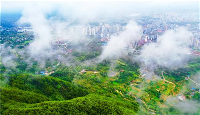 雨后的垫江县城区。通讯员 龚长浩 摄