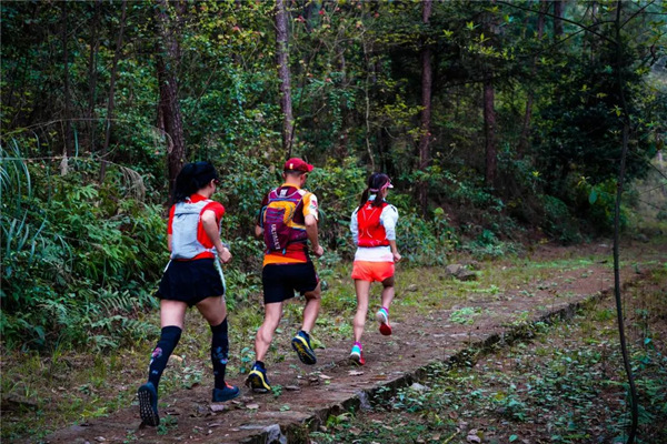 往届赛事选手们在优美的森林环境中竞赛。江北区委宣传部供图