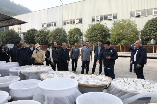 部分企业代表走进武隆考察。武隆区委宣传部供图