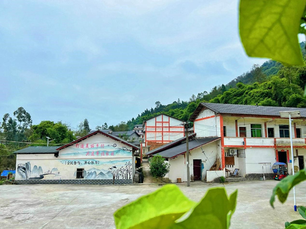 瓦屋院子人居環境干淨整潔。成蓉攝