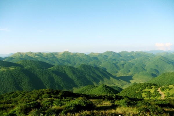 阴条岭国家自然保护区。巫溪县林业局供图