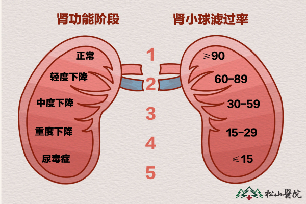 肾功能阶段。重庆松山医院供图