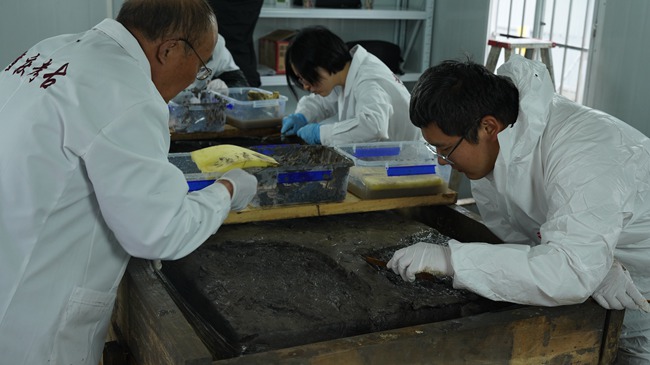 考古人員對木棺進行清理。 重慶市文物考古研究院供圖