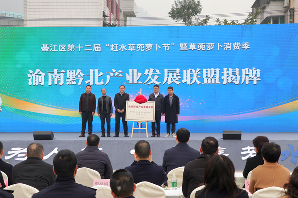 渝南黔北产业发展联盟揭牌仪式现场。胥世鹏摄