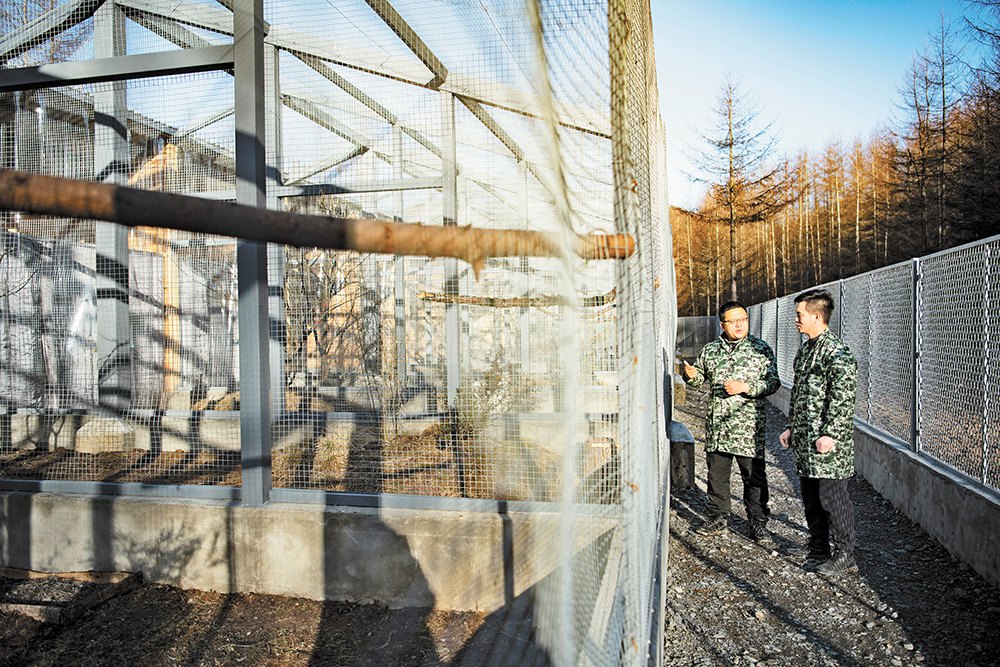 12月4日，雪宝山国家级自然保护区十里坪，工作人员巡查房舍。记者 谢智强 摄/视觉重庆