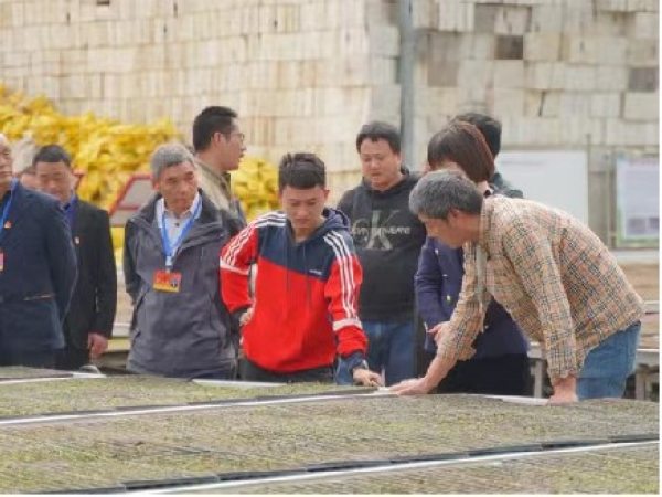 石龙镇人大组织辖区人大代表到遵义市虾子镇调研。石龙镇供图