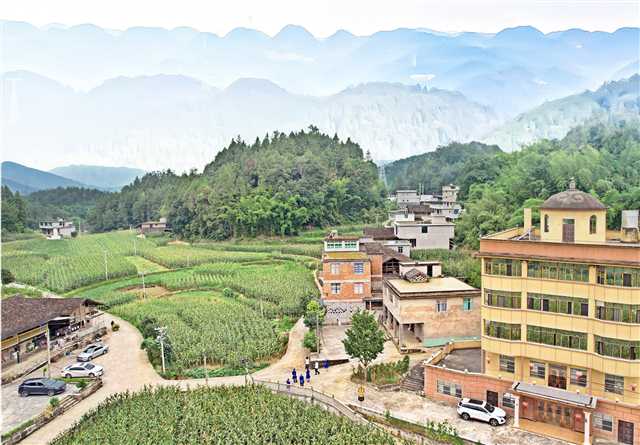 7月18日，鸟瞰彭水苗族土家族自治县鹿鸣乡向家村。记者 刘旖旎 摄/视觉重庆