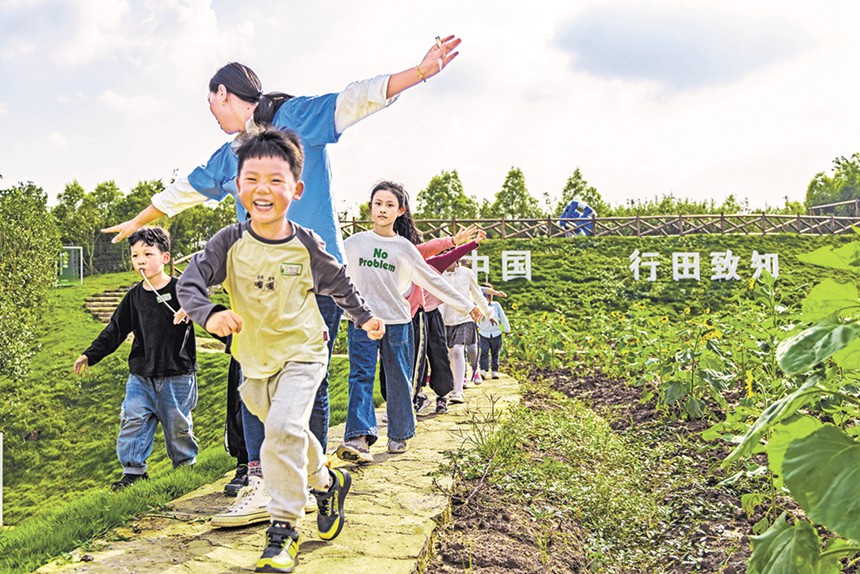 北碚区柳荫镇东升村,老师带领孩子们在田间研学。(资料图片)记者 尹诗语 摄\视觉重庆
